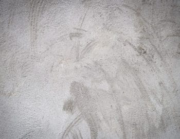 רטיבות בקיר: המדריך המלא לזיהוי, אבחון וטיפול